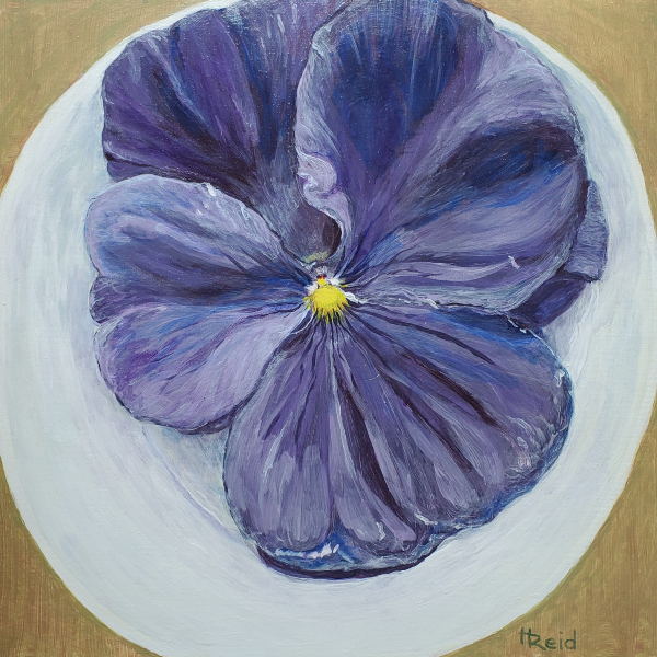 Pansy, 20" x 20" Wrapped Canvas, Acrylic Painting